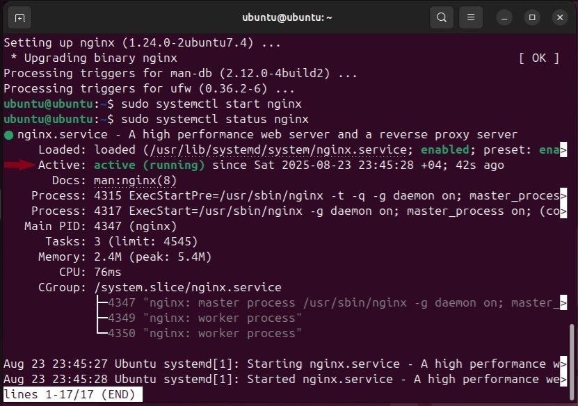 nginx service status